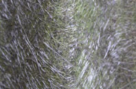 Ardkeen fibreglass roof work